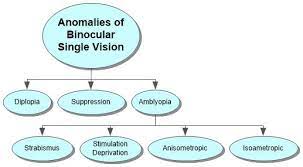 Binocular Vision Anomalies
